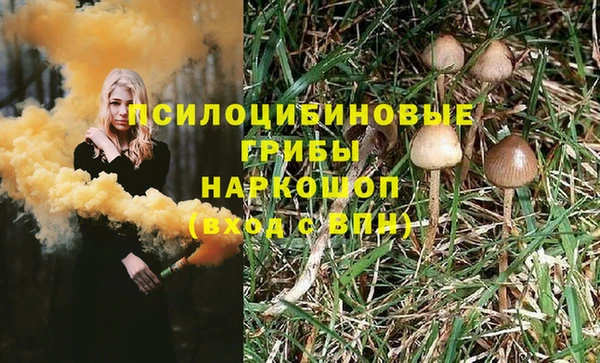 2c-b Алексин