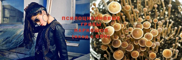 ГАЛЛЮЦИНОГЕННЫЕ ГРИБЫ Алексеевка