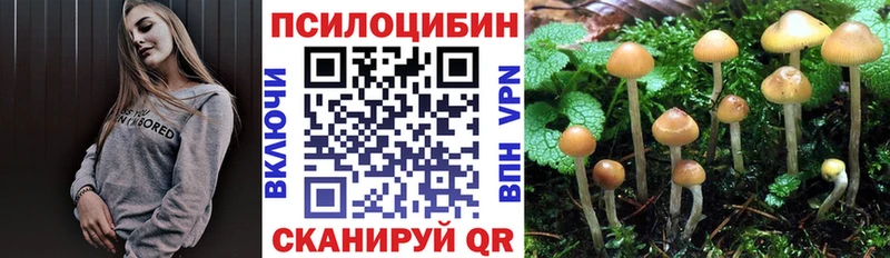 Псилоцибиновые грибы Magic Shrooms Иннополис