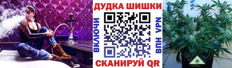 Конопля семена  купить наркотик  Иннополис 